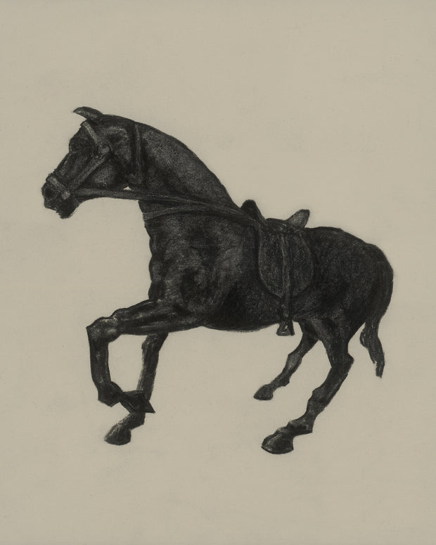 "DARK HORSE" Print 16 x 20