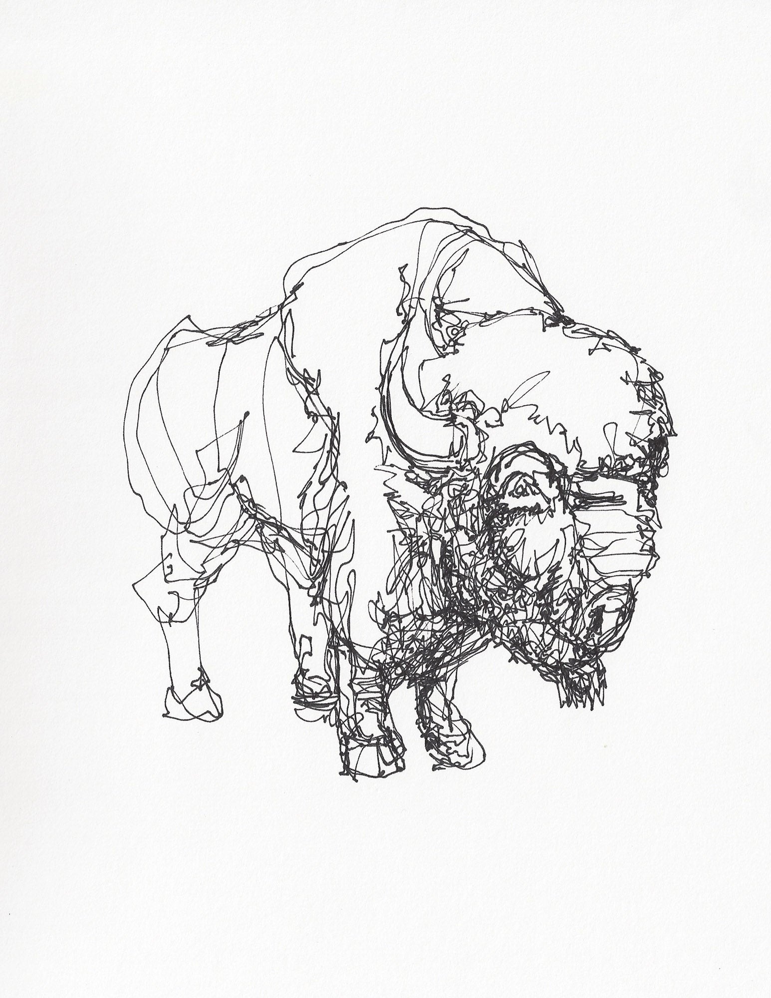 BISON_no_2.jpg?v=1542950473